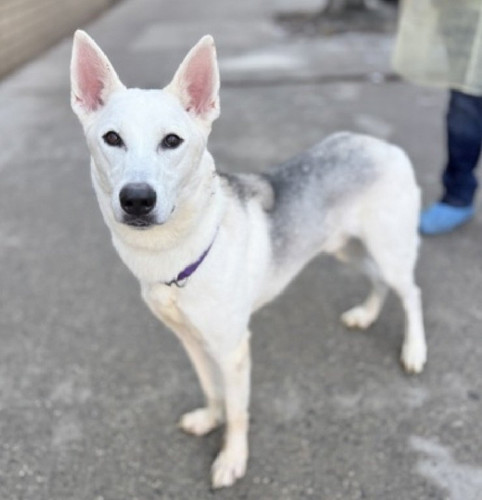 G8ehx WUAEadEi?format=jpg.jpg