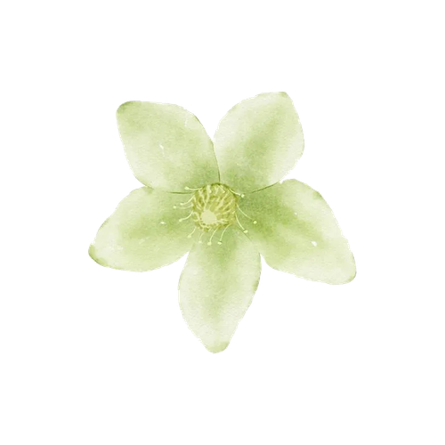 绿色薄荷系｜手账素材分享 11 VTuber资源库 来自小红书网页版.png