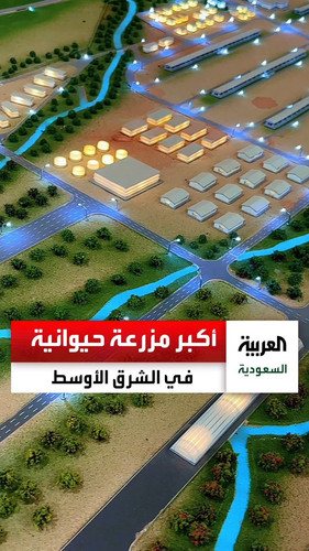 Lq5tTNjRGUk 9YeU.jpg