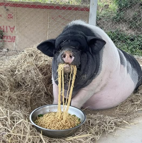 598512319 897356162852487 6074638947046159336 n.jpg