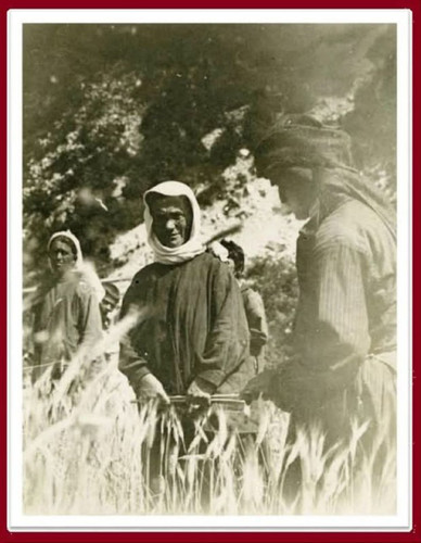 TgVuw8IQSHfvNkVuOcgzMNA2sPxHVs4omkKEw3ZV3ID6rZMEEJ4C3xHsLl sHESoJe GD XUtkFsF1zfozgOb Lf1ASPb 5M6c 2.jpg