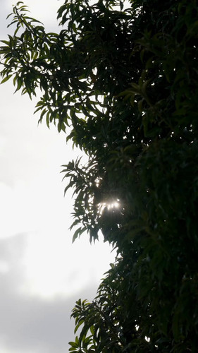 il3Wy 0YyZvXLVgW.jpg