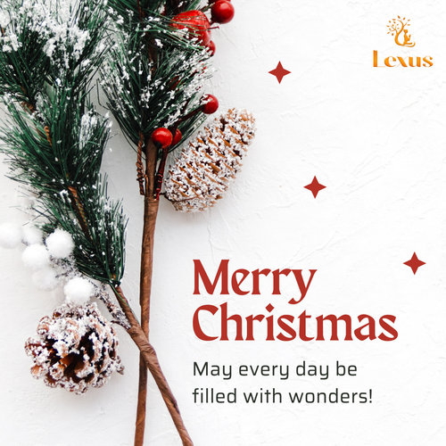 Merry Christmas from Lexus International Spa 🎄