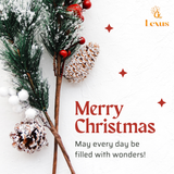 Merry Christmas from Lexus International Spa 🎄