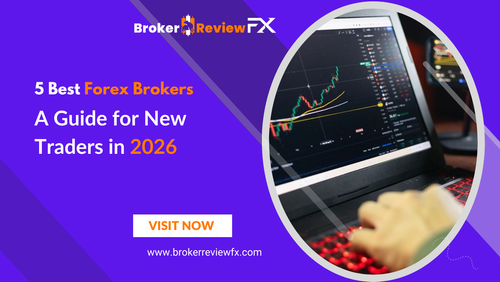 5 Best Forex Brokers A Guide for New Traders in 2026.png