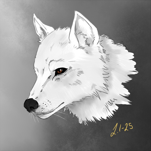 Safilye sutena.png
