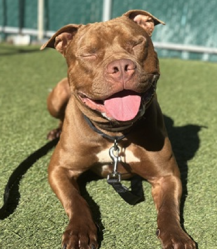 G5FX94waMAAmV64.png