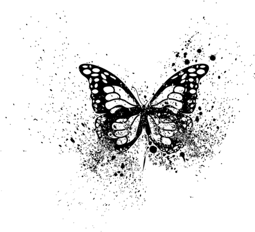 IMG 3673.png