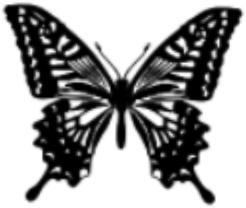 IMG 3672.png