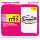 Magnum 1620x1620 1 tov 2025 12 25T103243.608
