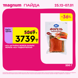 Magnum 1620x1620 1 tov 2025 12 25T103244.517