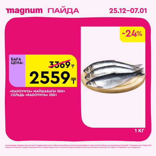 Magnum 1620x1620 1 tov 2025 12 25T103216.257.png