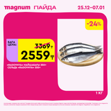 Magnum 1620x1620 1 tov 2025 12 25T103216.257