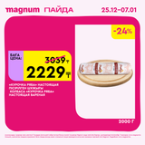 Magnum 1620x1620 1 tov 2025 12 25T103252.611