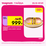 Magnum 1620x1620 1 tov 2025 12 25T103310.627