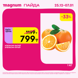 Magnum 1620x1620 1 tov 2025 12 25T103154.415