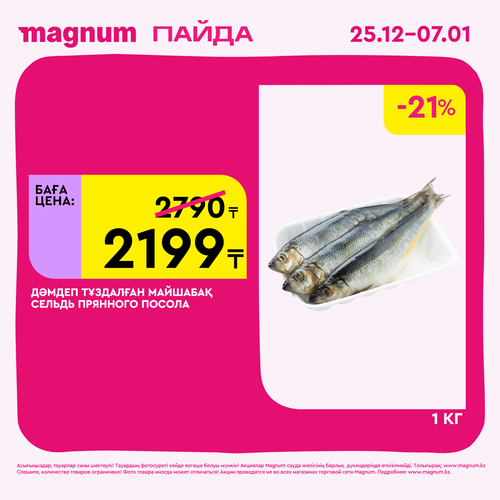 Magnum 1620x1620 1 tov 2025 12 25T103156.661.png