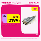 Magnum 1620x1620 1 tov 2025 12 25T103156.661