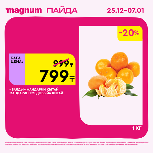Magnum 1620x1620 1 tov 2025 12 25T103152.096.png