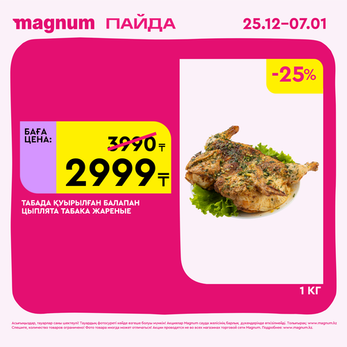 Magnum 1620x1620 1 tov 2025 12 25T103148.690.png