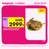 Magnum 1620x1620 1 tov 2025 12 25T103148.690