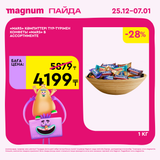 Magnum 1620x1620 1 tov 2025 12 25T103047.670