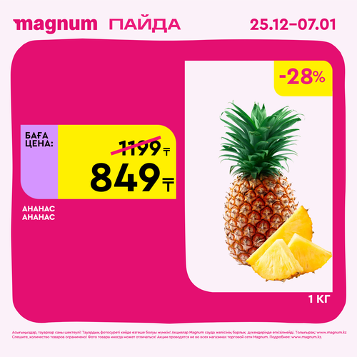 Magnum 1620x1620 1 tov 2025 12 25T103152.935.png