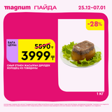 Magnum 1620x1620 1 tov 2025 12 25T103155.238