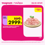 Magnum 1620x1620 1 tov 2025 12 25T103147.907