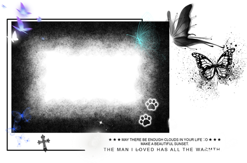 IMG 3675.png