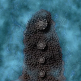 Coast For The Damned [30x40] (DnDavid)