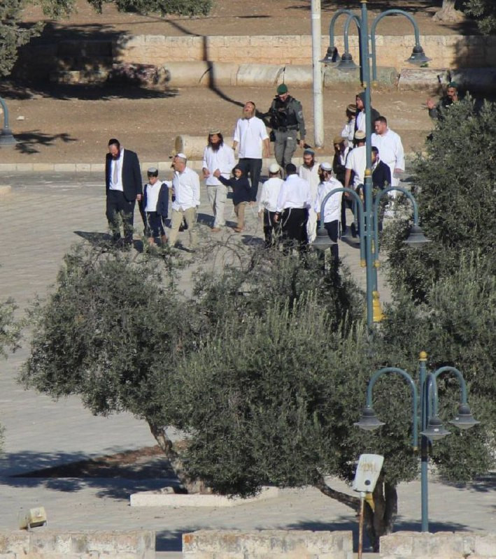 81 مستوطناً و15 طالباً يهودياً اقتحموا ساحات المسجد الأقصى صباح اليوم...