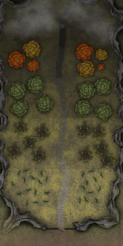 Life of a Forest (DnDavid).jpg