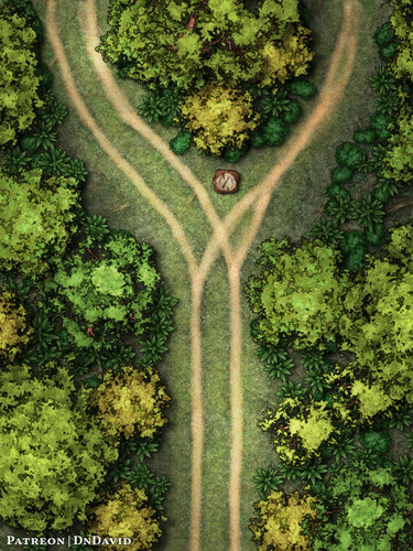 A Fork In The Road (DnDavid).jpg