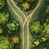 A Fork In The Road (DnDavid)