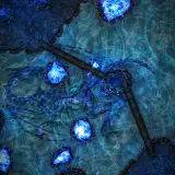 Obsidian Dragon Resting Place [30x40] (DnDavid)