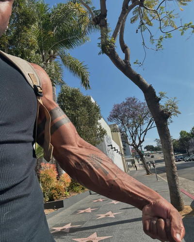 siahaartis 1719345963 3398442714869166284 2173074178.jpg