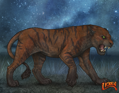 lioden wardrobe 2025 11 16T004913.282.png