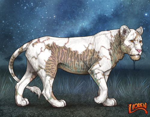 lion 794248763469.png