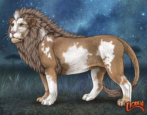 lion 794252363790.png