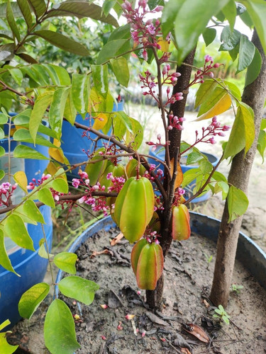 71bJ98ENUoL.jpg
