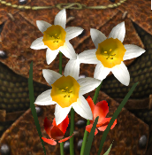 květina wurm.png