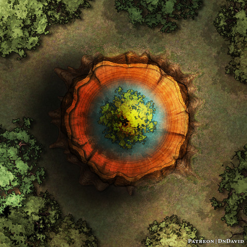 Tree Growing In A Stump (DnDavid).jpg