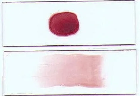 16.webp