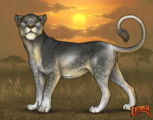 lioden wardrobe 2025 11 16T151152.279.png