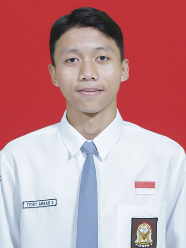TEDDY AKBAR S