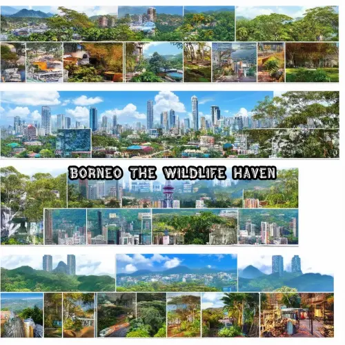 Borneo The Wildlife Haven.webp