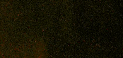 image (20).png