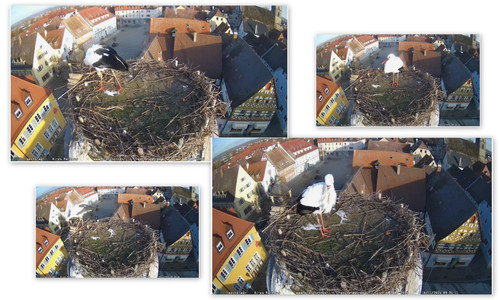 Bilder1.jpg