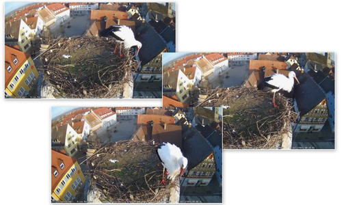 Bilder.jpg